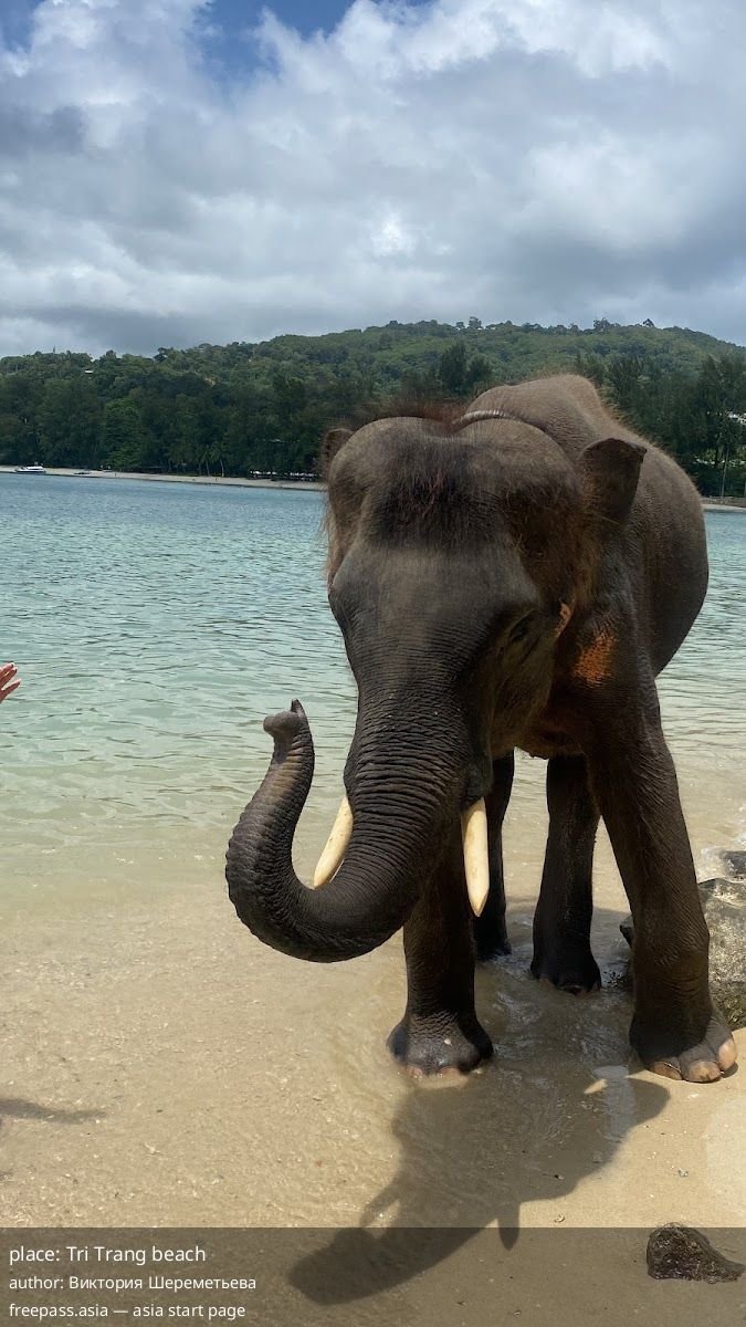 ChIJ0TOAiK07UDAR1oR7omcRpSw_1759477645_p79otYAu_68df85e7e6eac_1759479272_aYWPamyt