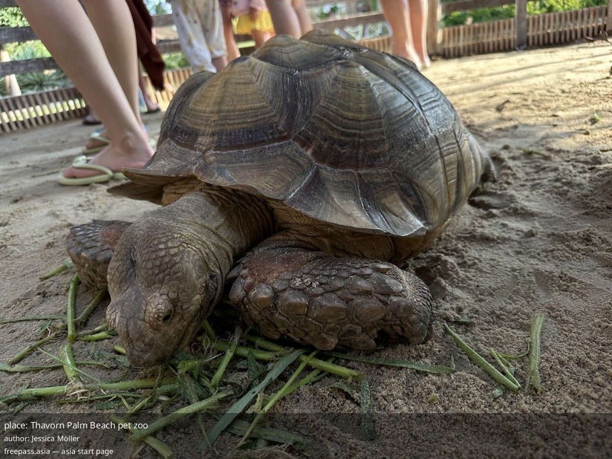 ChIJ2XE3niElUDARmL3qrfh 378_1759467418_fK8vEAsJ_68df57a31a9db_1759467427_3Uay2y6M