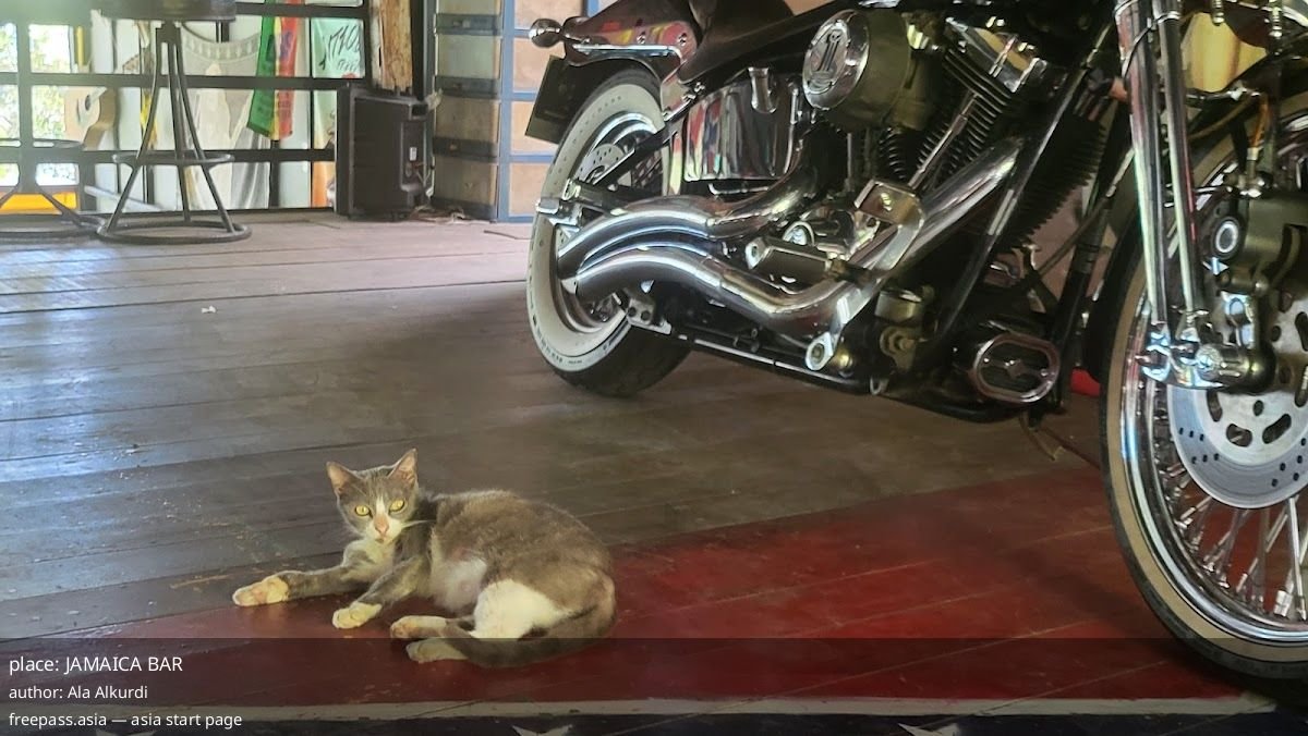 ChIJ31RzHvY6UDARkeY278nMRls_1760522795_aPmTxaip_68ef75d4916c8_1760523732_DeUU53fM