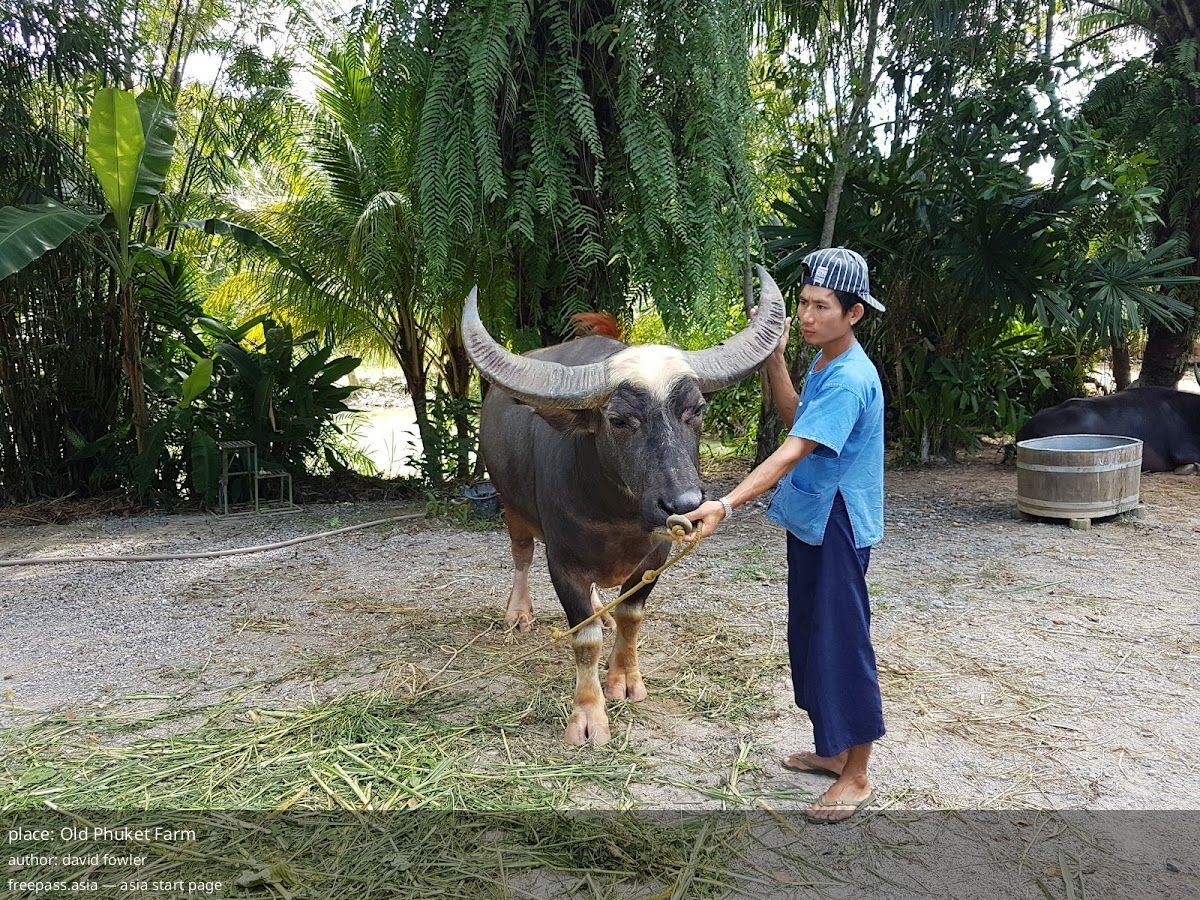 ChIJ3feuo g3UDARmkDwOXGAh1Q_1760163379_4wUwACiK_68ea0abe035e0_1760168638_dGWW41tx