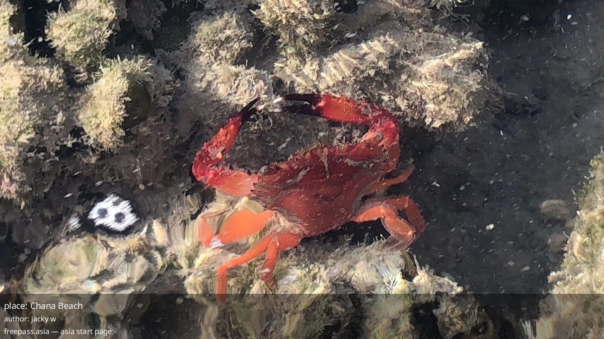 ChIJ6zgdYe8vUDARvBQFr2TNZIA_1759147078_TOlICY15_68da7b7e93a85_1759148926_fL3STj7p