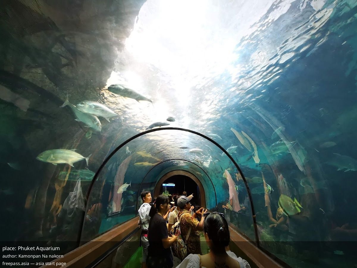 ChIJBx6OpxAsUDAR2Fl2L5Fx Vc_1759147302_ONdu1cKF_68da7b811355d_1759148929_Jl45rxhT