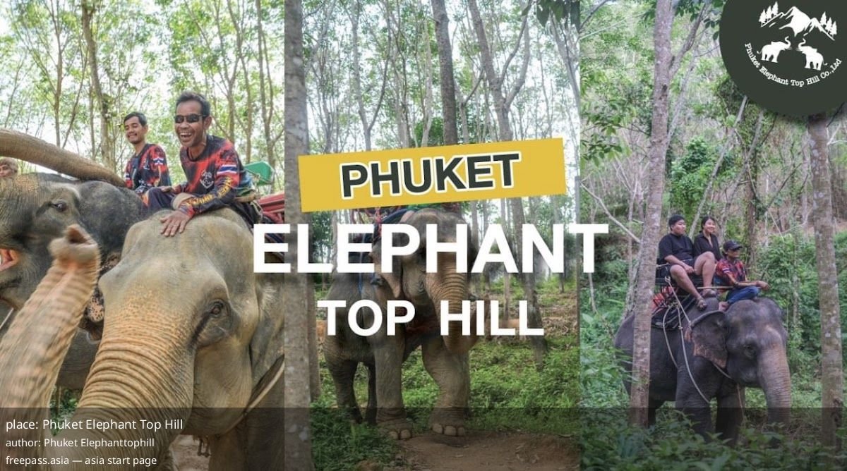 ChIJD8YAeVYvUDARW_4D2Fjywnk_1759468592_tZn9rQki_68df5c481e3f1_1759468616_2mTuRLj7