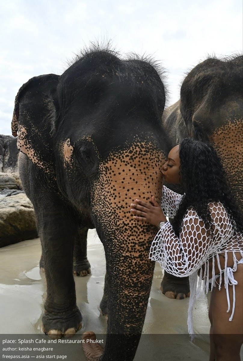 ChIJE1qUgxM7UDAR8Rp Ur0j2rE_1760506751_Q3UCTnt6_68ef3695cfc64_1760507541_Zqvw31Le