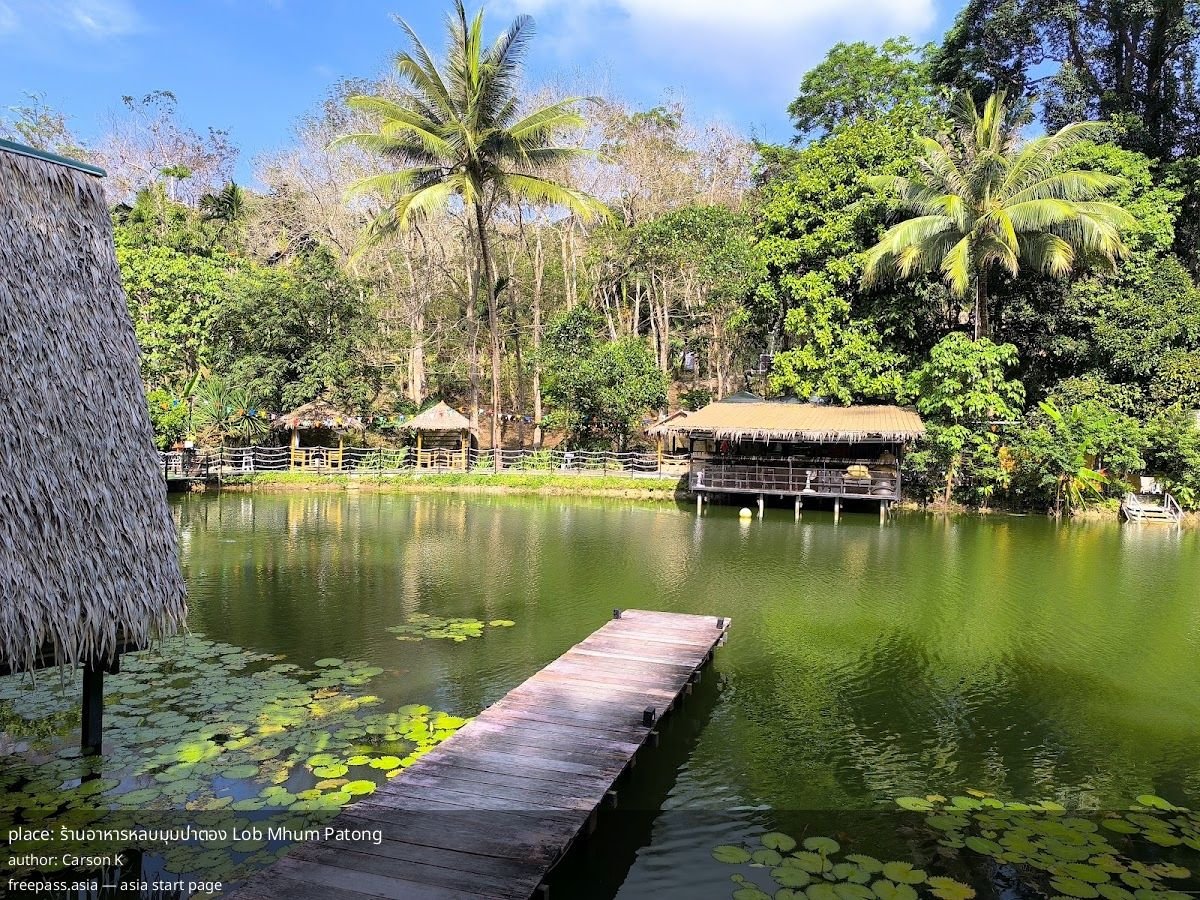 ChIJLfvNhxkxUDARop_uMeyc3v4_1760340068_oSXP08AI_68ecb419473bc_1760343065_UuuoaaNZ