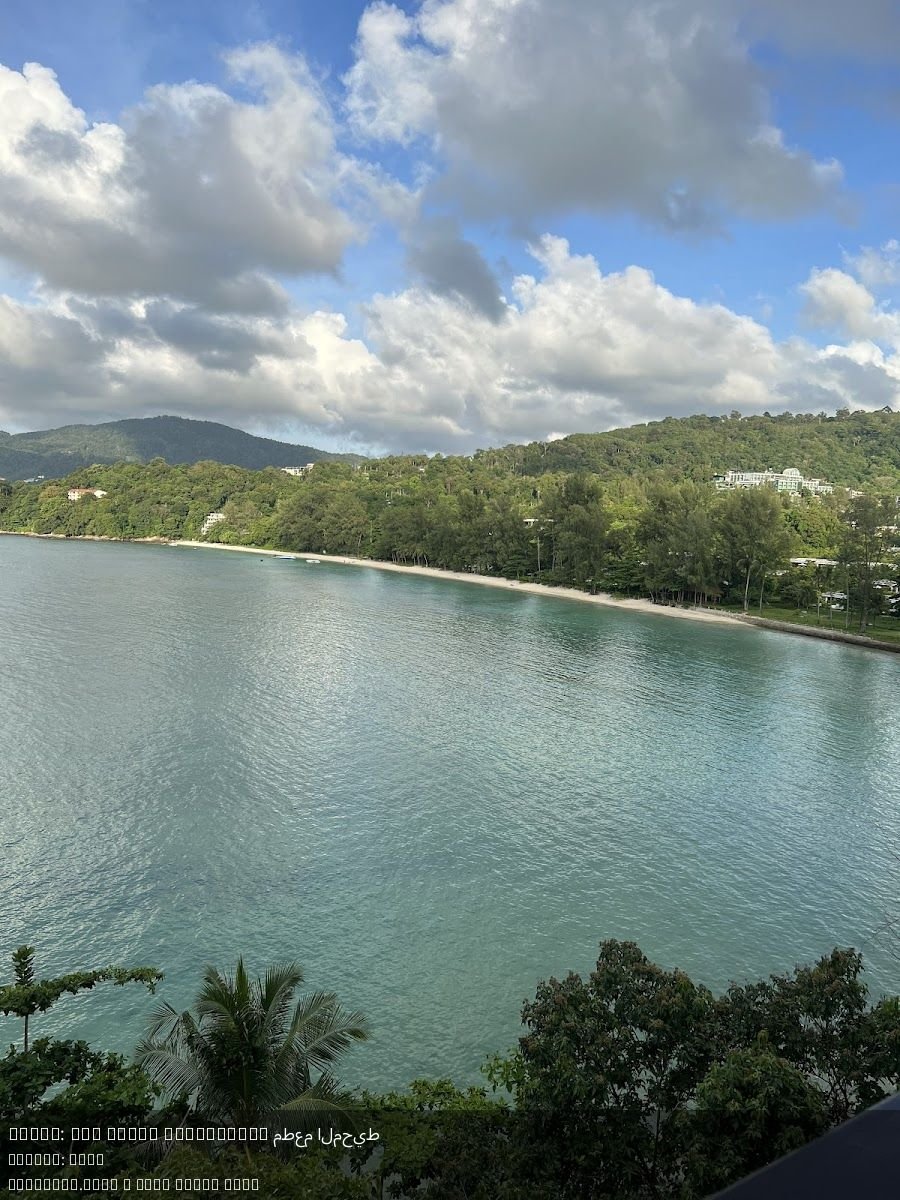 ChIJM P_S9Y7UDARtfoeVIGQcK0_1760506751_UoBEWNvw_68ef369507345_1760507541_i72VIcF1