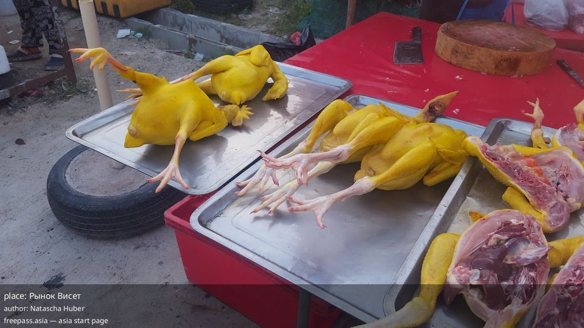 ChIJRUghXTcvUDARlvOHY66f_sk_1759492115_hBFelpNm_68dfc2412d2d8_1759494721_trNq3lFi