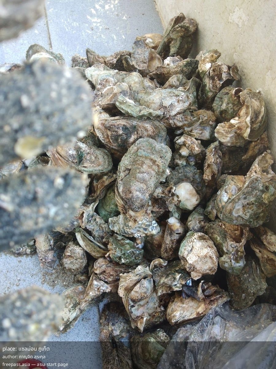 ChIJSy9TyKovUDARxJq6WbB5xl8_1761132161_GxpRw0Dc_68f8c0be5f52b_1761132734_GMpuSR8j