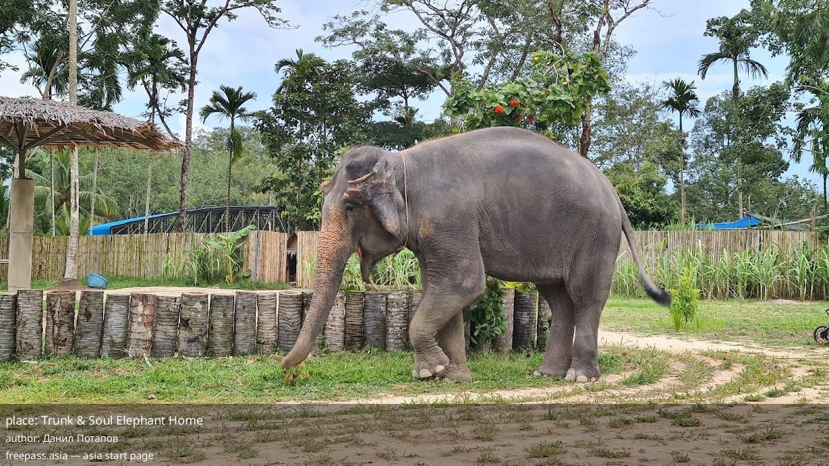 ChIJYUu 5gVJUDARriQHuCxaiIQ_1760163905_8zyQivTT_68ea0ac689b5c_1760168646_Og7Wx9BY