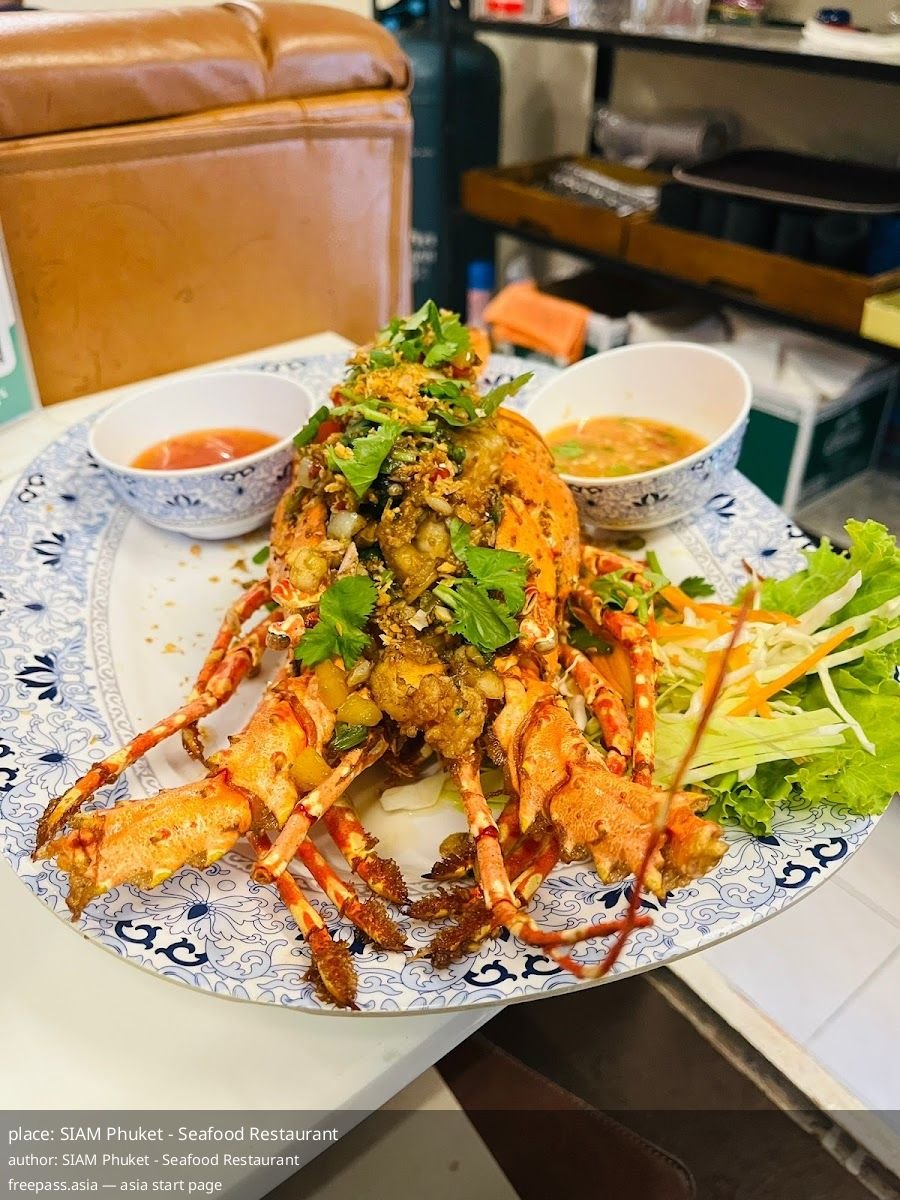 ChIJadJGXs07UDARIevSO0xZU3o_1761125402_3dXsGDpC_68f8a6cb7c832_1761126091_uh7920tg