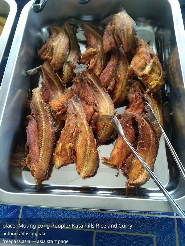 ChIJc4MTgQ4vUDARaanvWO3aNuU_1759404732_d7VFBzsd_68de6494acf30_1759405204_wKvNFUfK