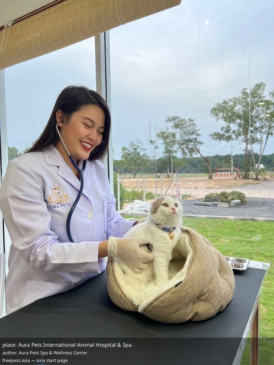 ChIJfblMJ7gvUDARnmh GaylPDo_1759828193_WF6Af7BM_68e4db5511949_1759828821_QALN5PI1