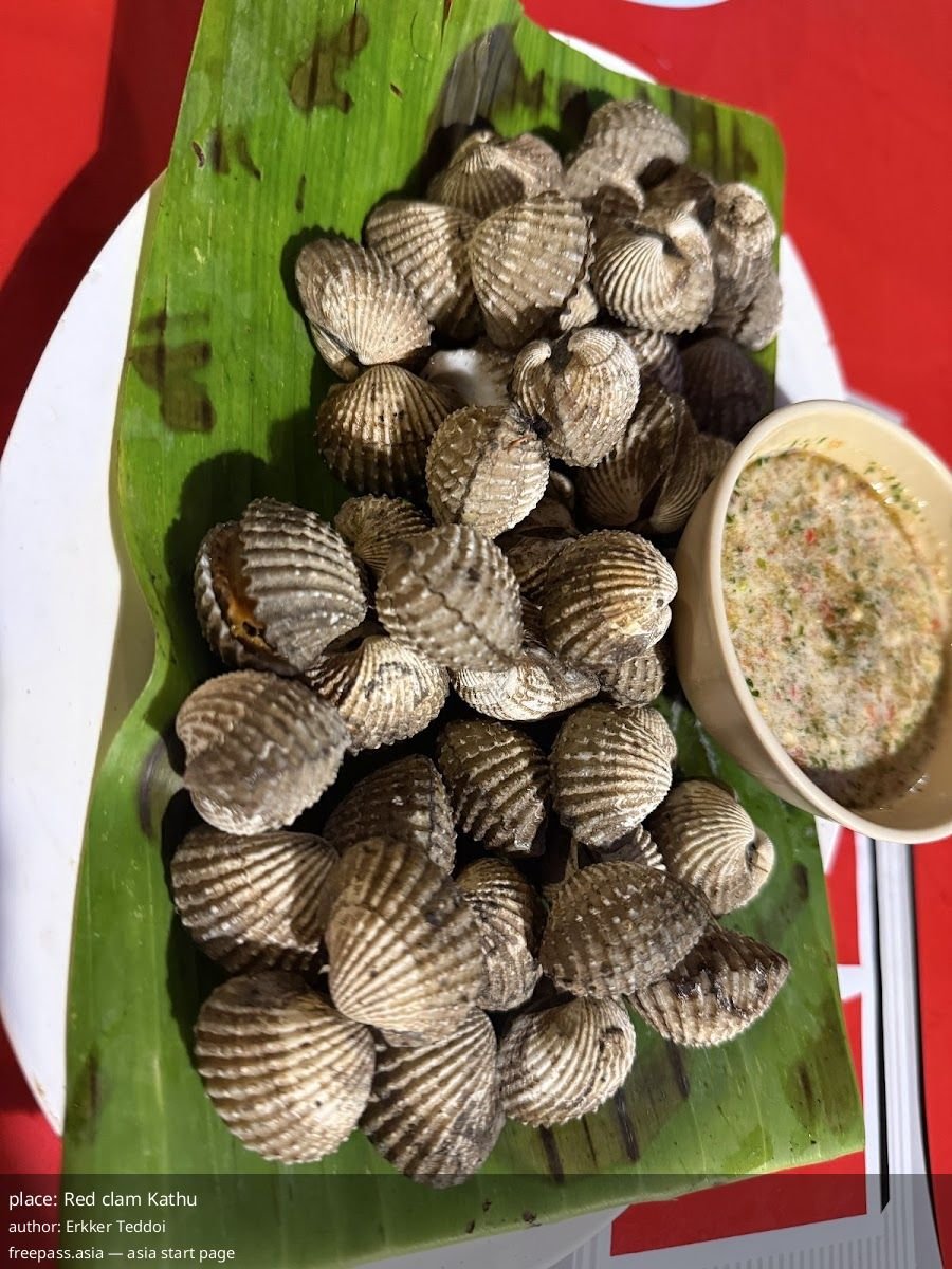 ChIJg8bxh0kwUDAR44YNIZ5_5Ls_1761374761_079iIeO9_68fc7b44452cd_1761377092_VfvHpdiJ