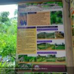 ChIJgbw4ONQ1UDARi2TvLZuHy38_1760161611_B04jTEJu_68ea0aa84e209_1760168616_zrDiHm2P 150x150