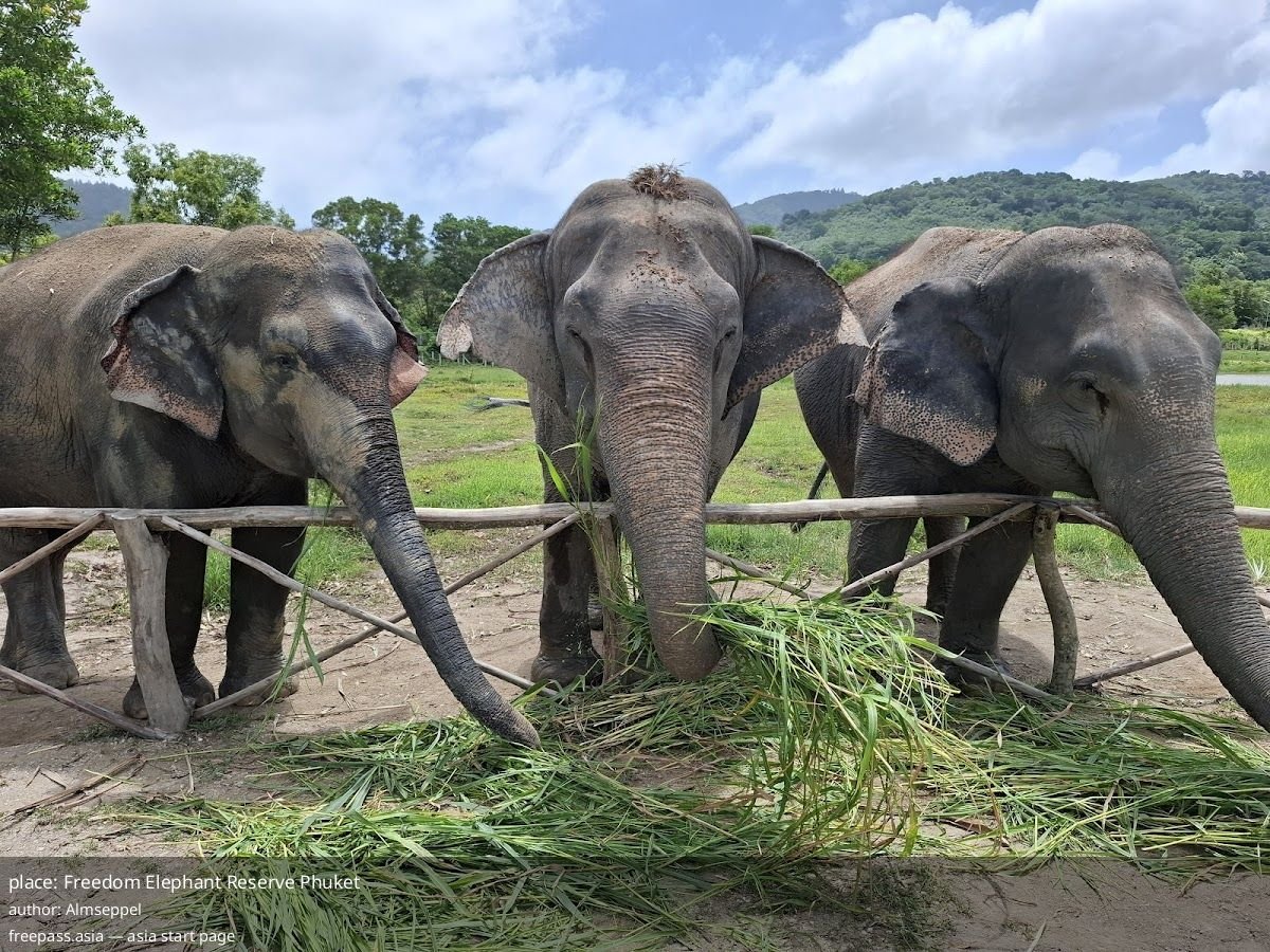 ChIJhRPXXwAvUDARgf1U53tLQKg_1759468592_gLFi4O9l_68df5c460839d_1759468614_oVGTiivj