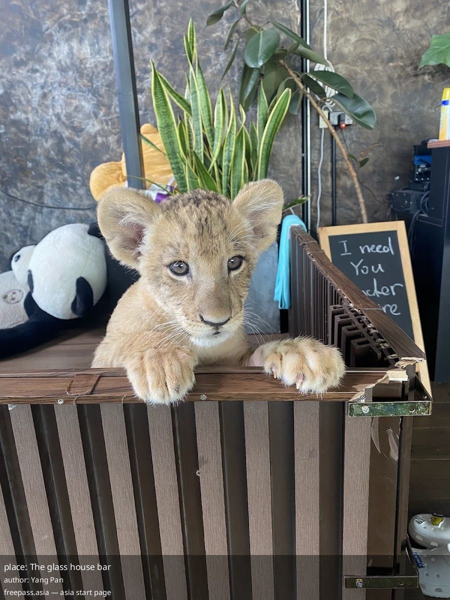 ChIJlRajSQAzUDARxl4Qy4WaVTo_1760349538_8CeLu4EU_68eccdec419cb_1760349676_by3j8NaO