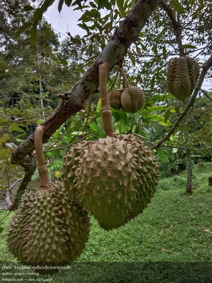 ChIJvYnOuy4xUDARmksoNh6nhMs_1761374398_yDjLD2gl_68fc7b42acc72_1761377090_W07pD5FT