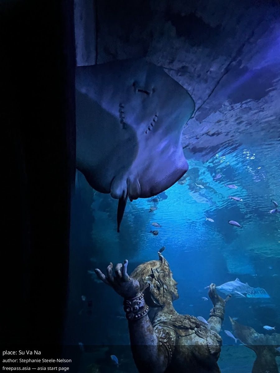 ChIJw38k_i83UDARZoNE301X36U_1761129697_2y08g4pC_68f8c02111dca_1761132577_GUk77d4D