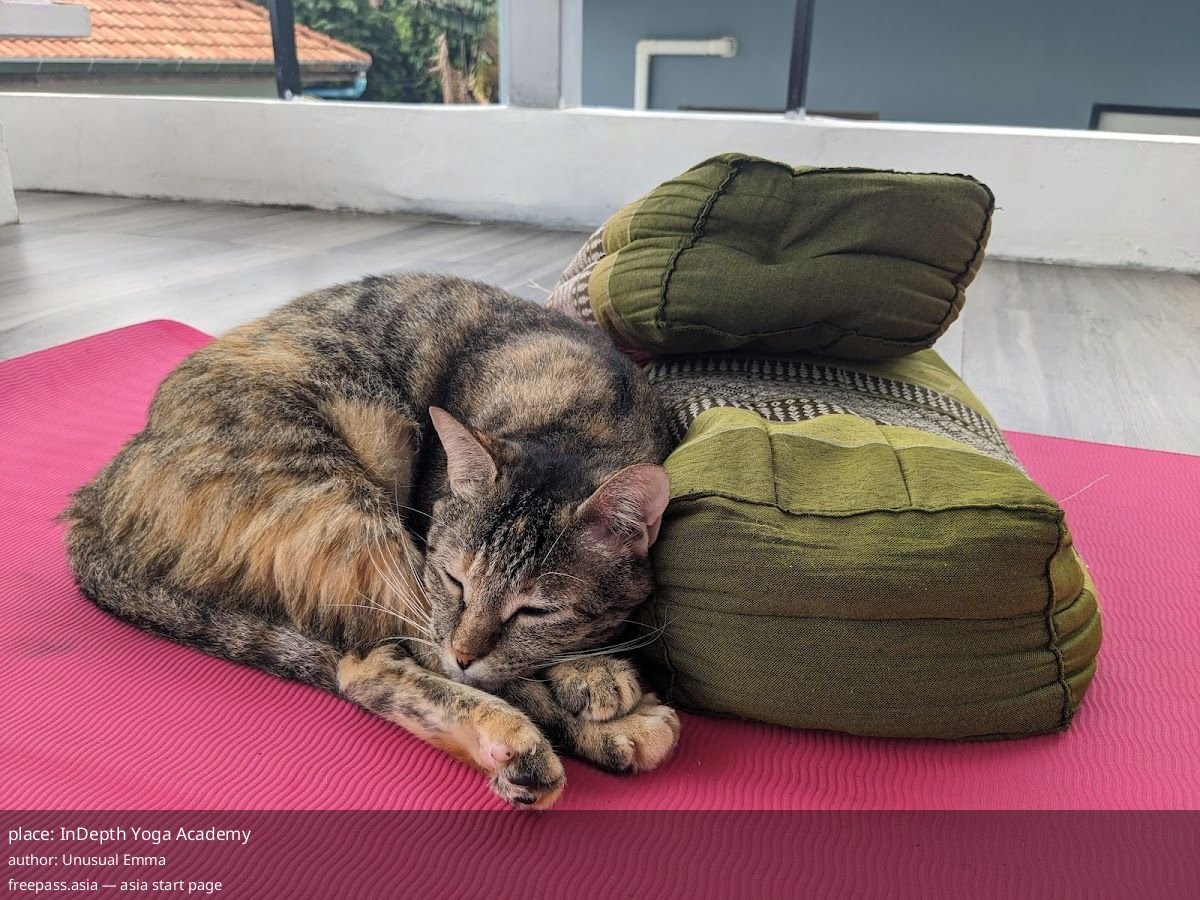 ChIJycSt3QgvUDAR1wSRi0A2E4M_1759503796_5NCszwm5_68dfe838e2945_1759504441_VGwX8ybl