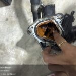 ChIJIzKEzmcvUDAR3ehop_9Us9k_1762414104_qvdnU03S_690c5ddd75381_1762418141_4aXm3bYD 150x150