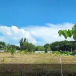 ChIJLbZp49kxUDAR4JkCOq4HWhU_1762417262_FpasMgZV_690c5e67450e0_1762418279_LSl2tsL4 150x150