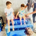 ChIJZXy5hD06UDAR20W5vscppto_1762155120_JtZx6x2c_69085cf46366f_1762155764_YErynM3z 150x150